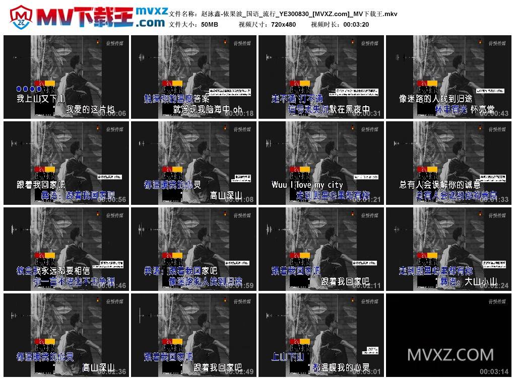 赵泳鑫-依果波_国语_流行_YE300830